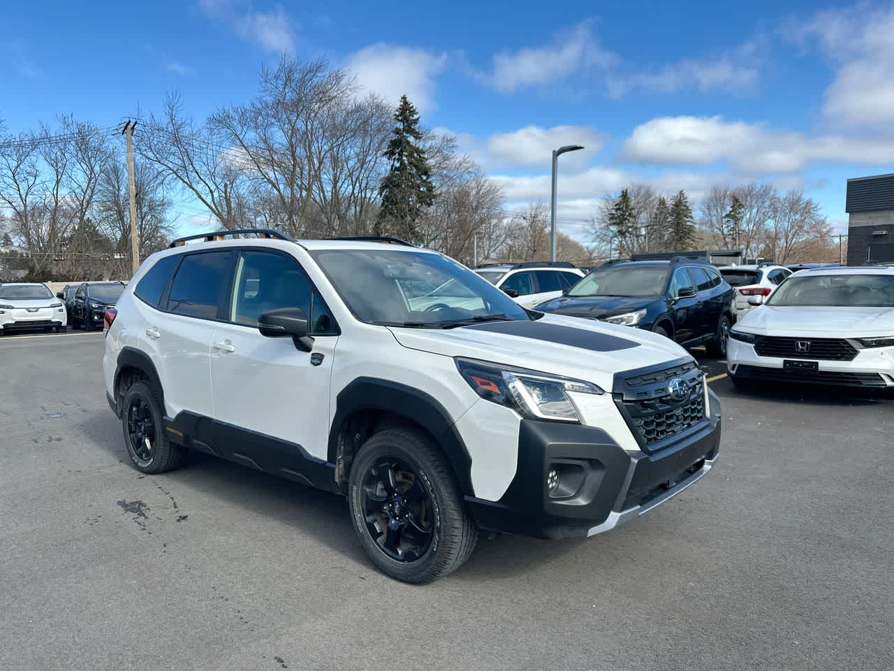 Thumbnail: 2024 Subaru Forester - 15