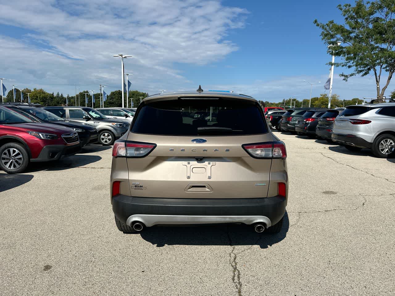 Thumbnail: 2020 Ford Escape - 12