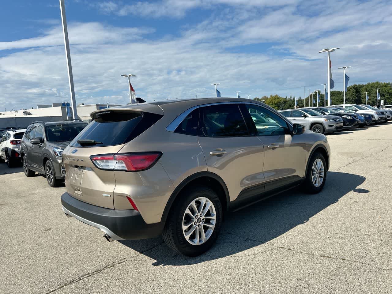 Thumbnail: 2020 Ford Escape - 13