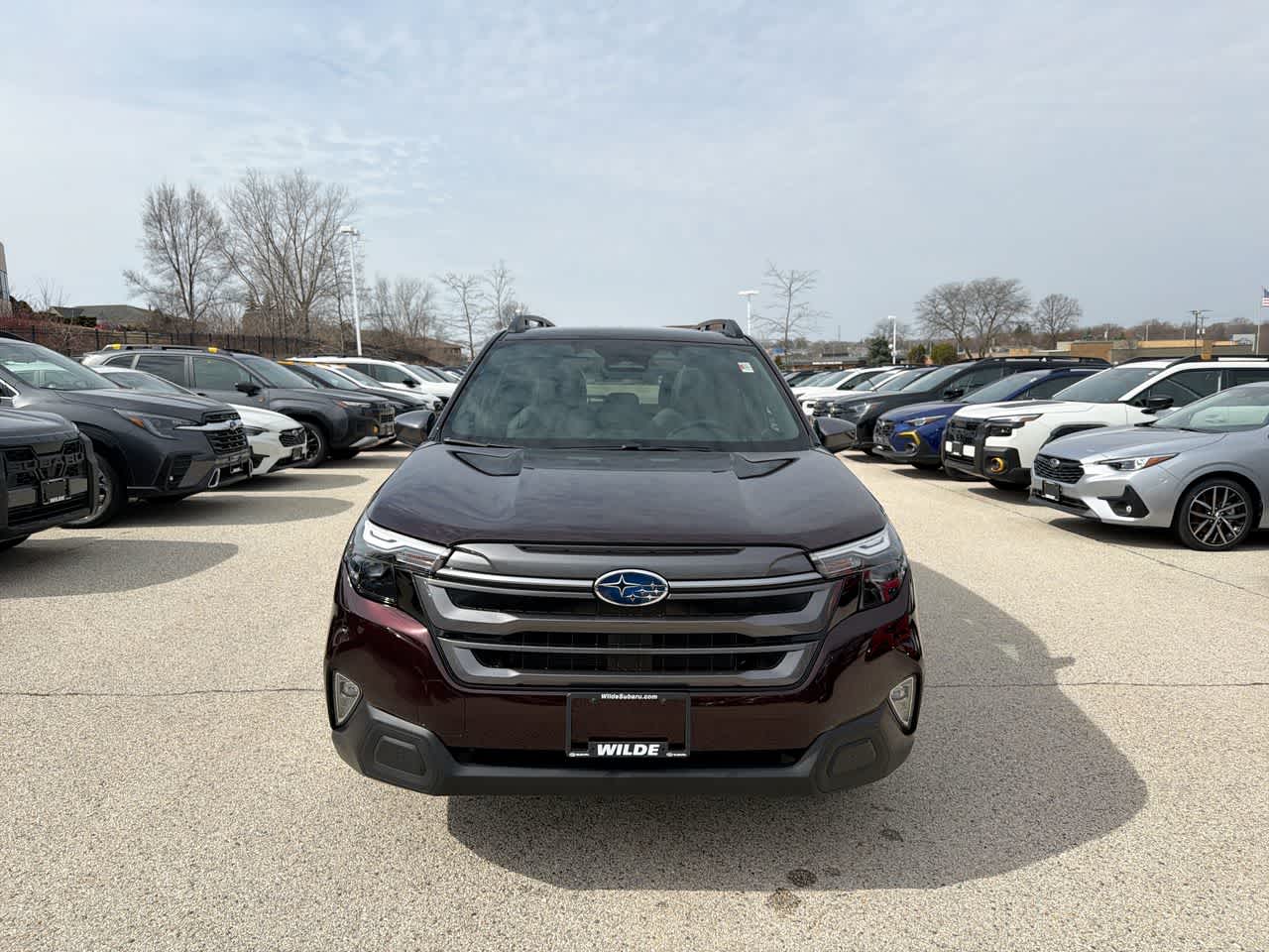 Thumbnail: 2026 Subaru Forester - 16
