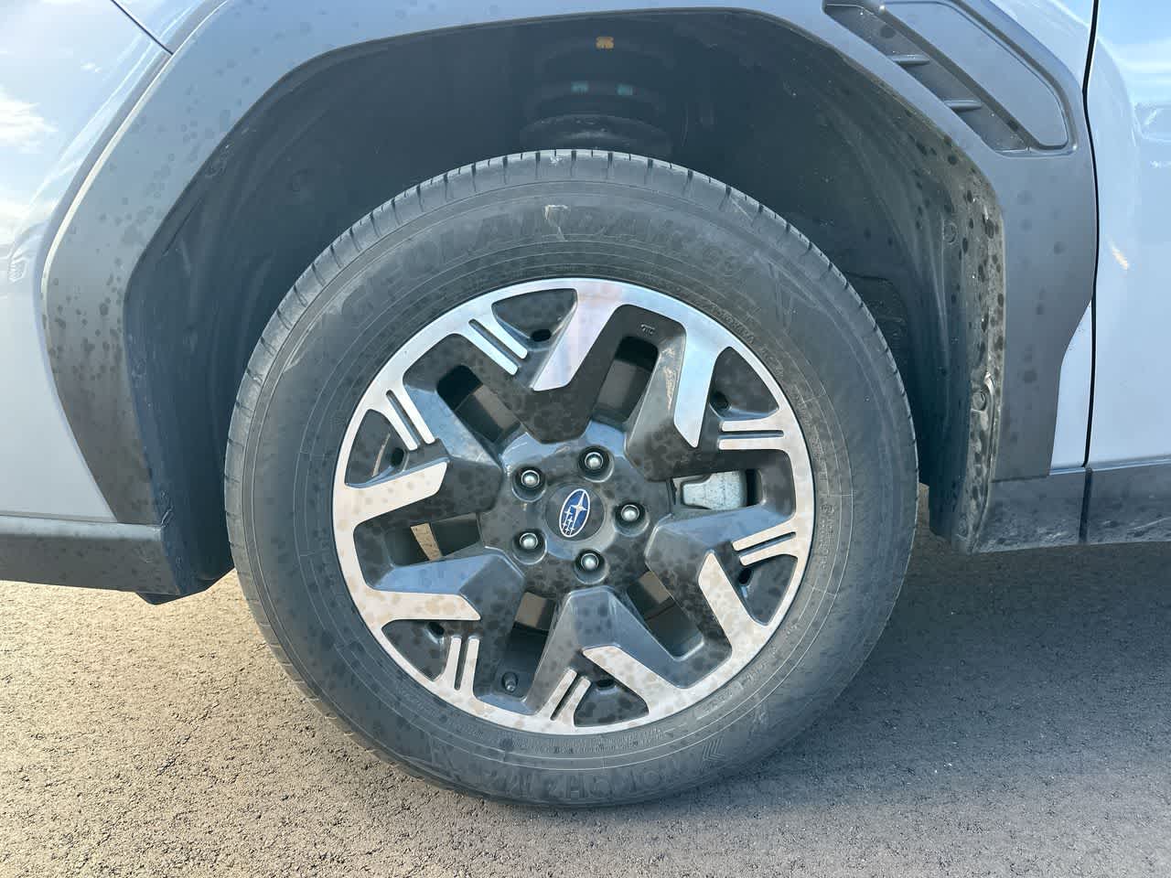 Thumbnail: 2025 Subaru Forester - 19