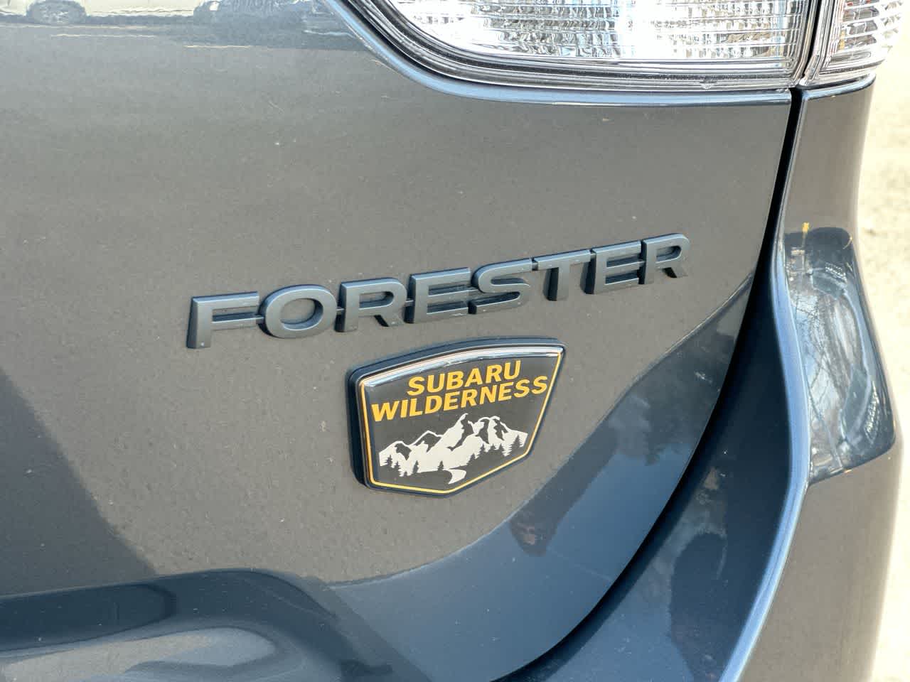 Thumbnail: 2025 Subaru Forester - 18