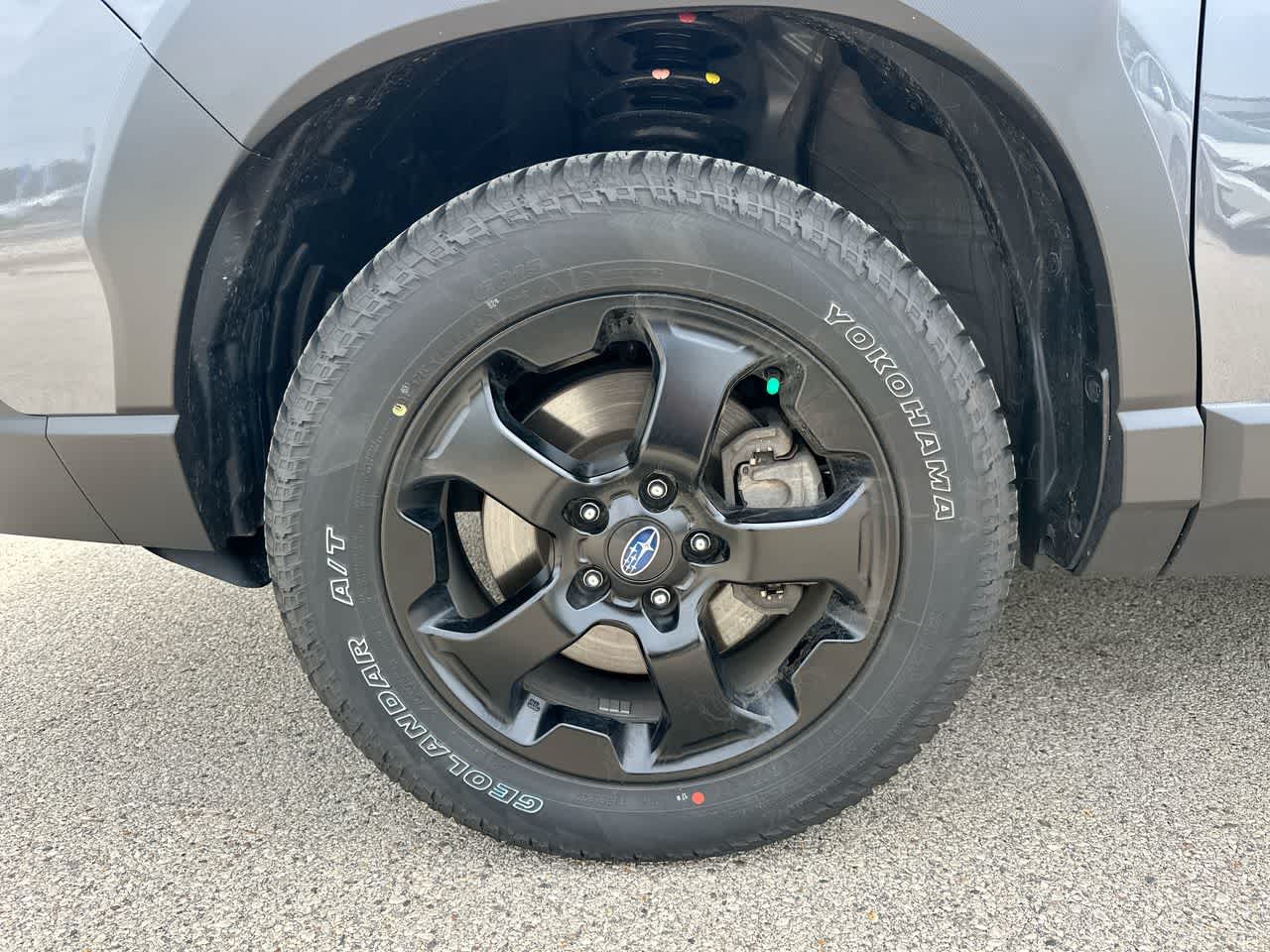 2024 Subaru Forester Wilderness 19
