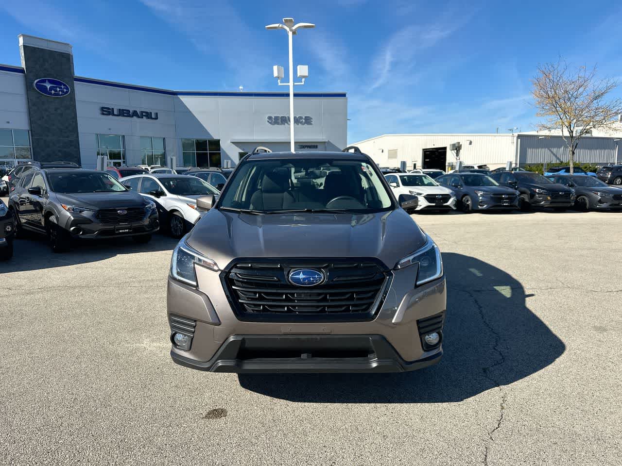 Thumbnail: 2022 Subaru Forester - 16