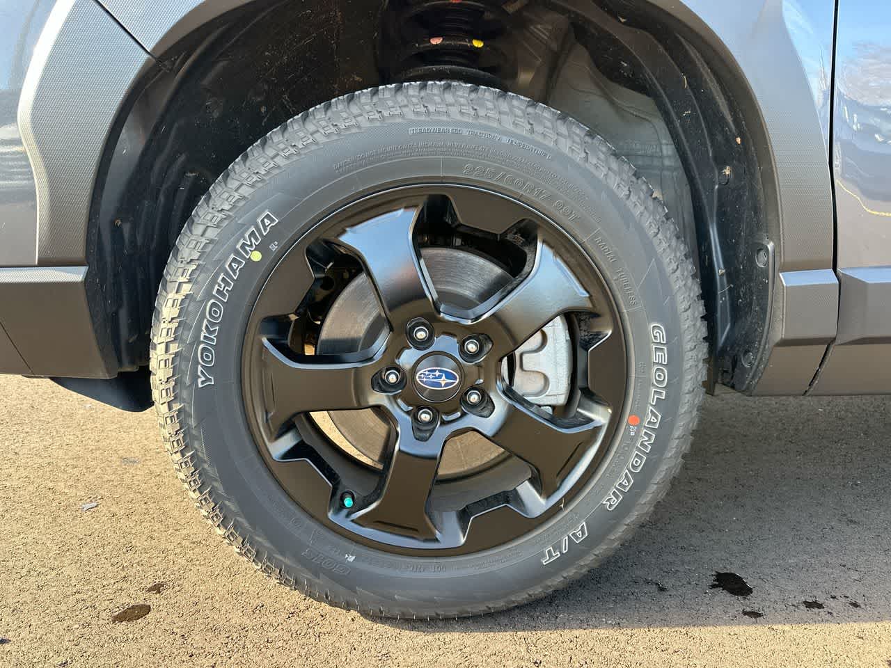 Thumbnail: 2025 Subaru Forester - 19