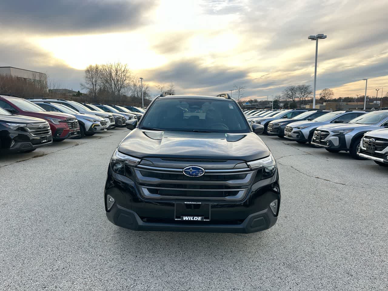 Thumbnail: 2026 Subaru Forester - 16