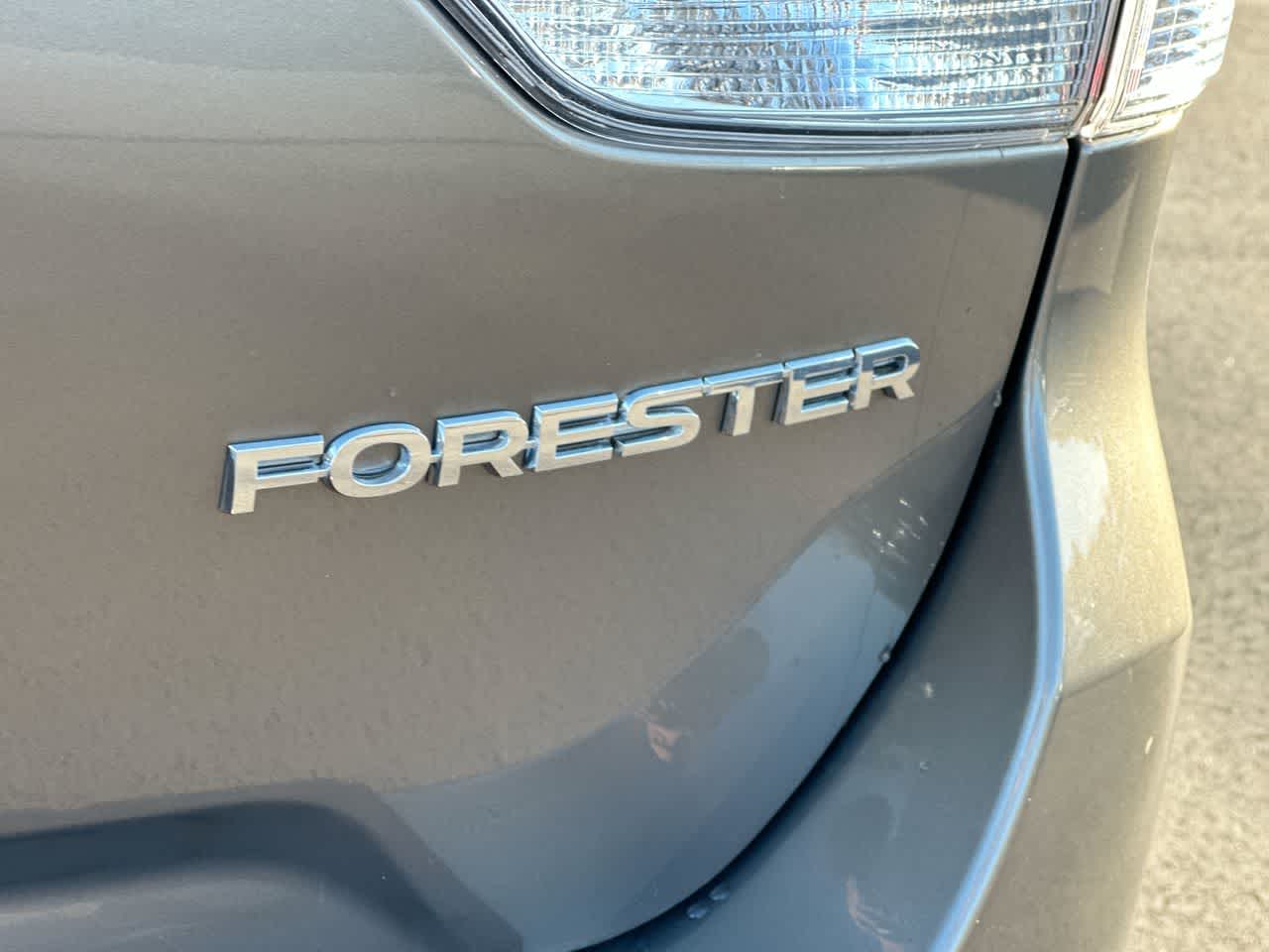 Thumbnail: 2019 Subaru Forester - 18