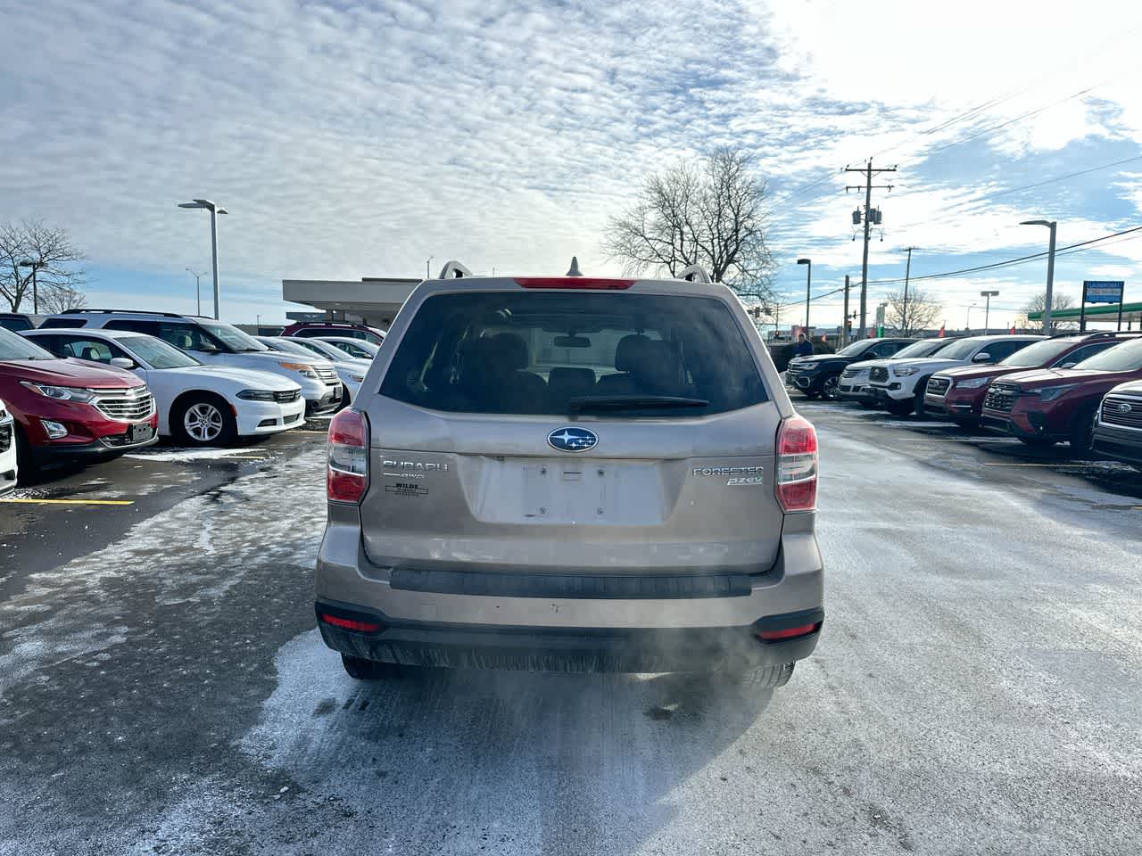 Thumbnail: 2016 Subaru Forester - 12