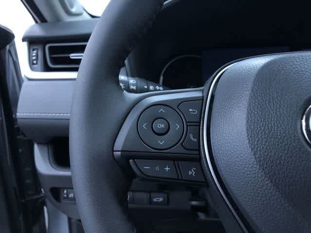 Thumbnail: 2025 Toyota RAV4 - 17