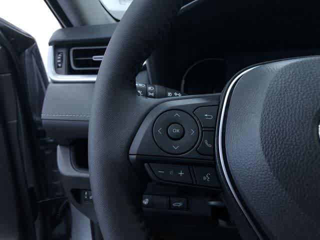 Thumbnail: 2025 Toyota RAV4 - 17