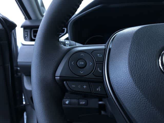 Thumbnail: 2025 Toyota RAV4 - 17