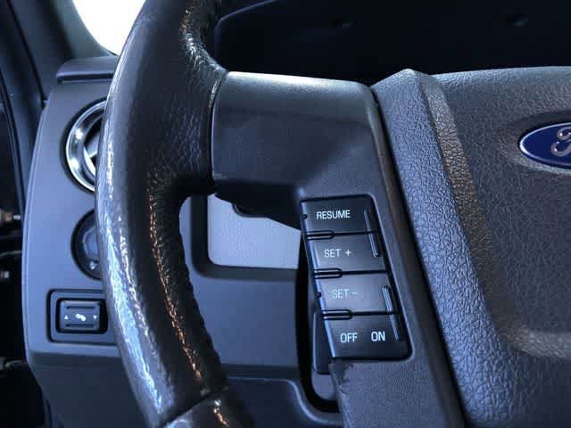 Thumbnail: 2010 Ford F-150 - 18