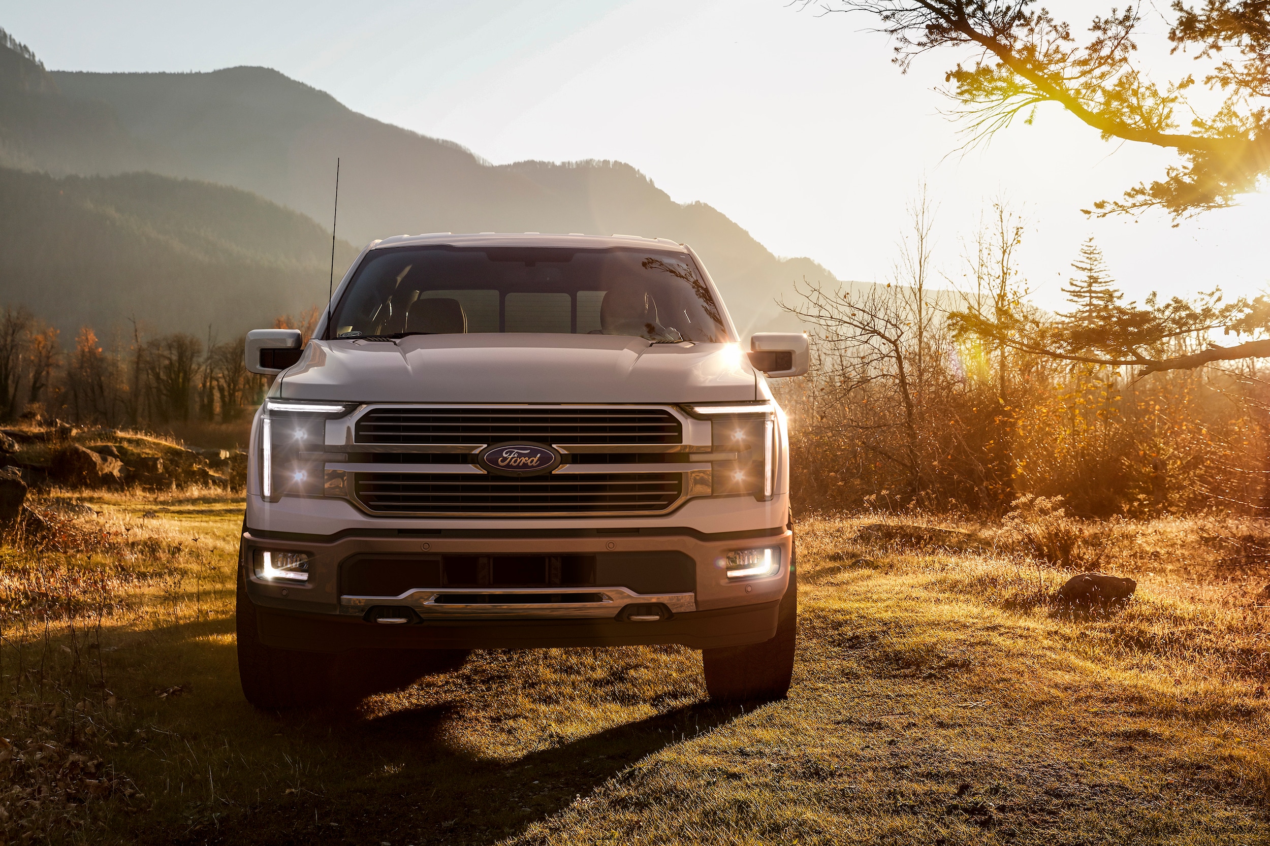 Ford-F150