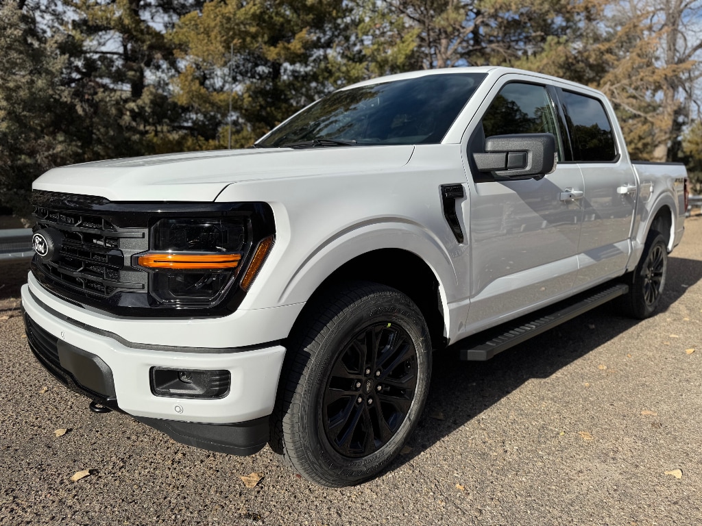 2025 Ford F-150 XLT's photo