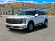  Hyundai Palisade Hybrid