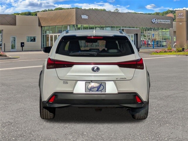 2021 Lexus UX 250h photo 4