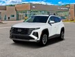  Hyundai Tucson Hybrid