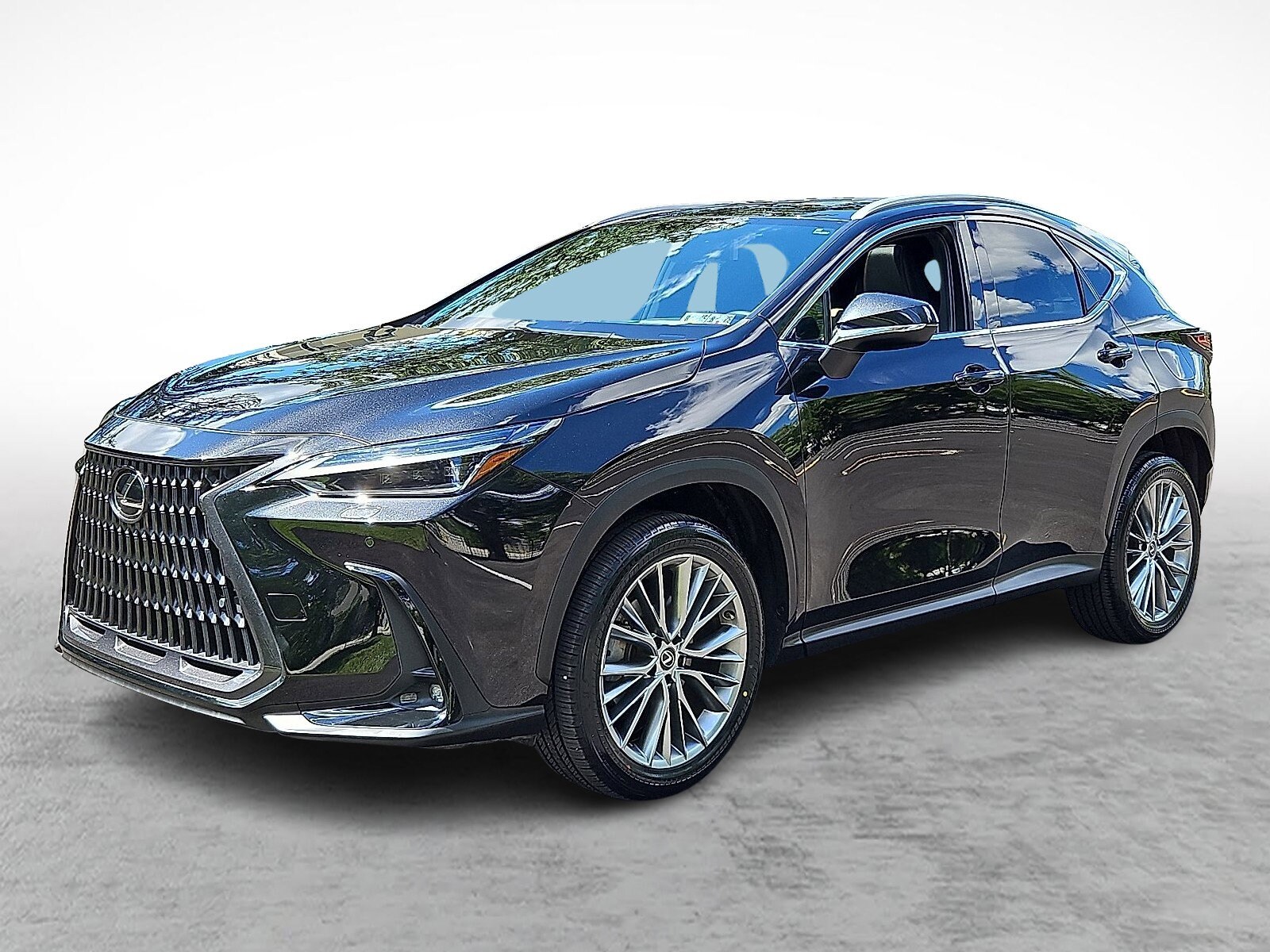 2023 Lexus NX 350 Luxury photo 2