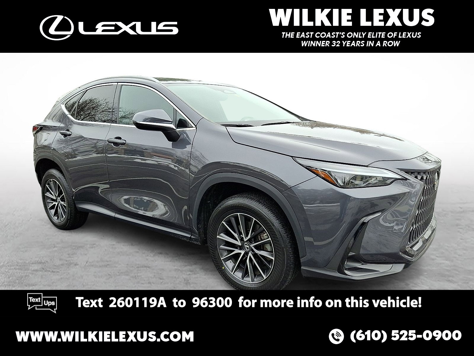 2023 Lexus NX 250's photo