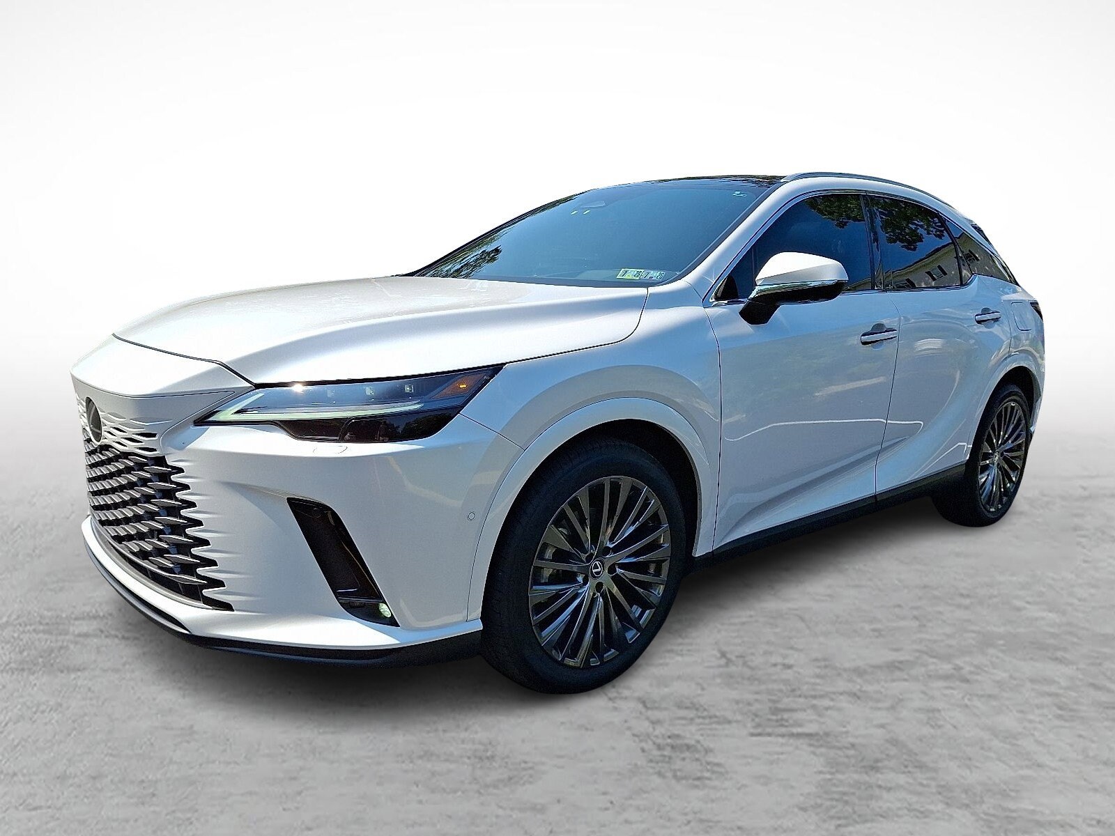 2023 Lexus RX 350 Luxury photo 3