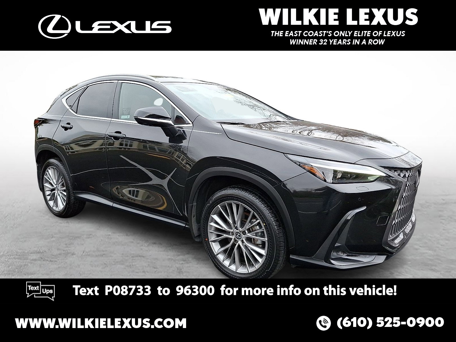2024 Lexus NX 350's photo