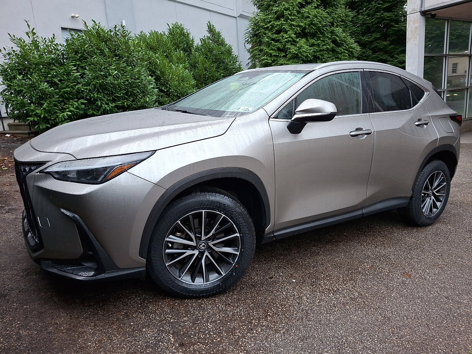 2023 Lexus NX 350 photo 2