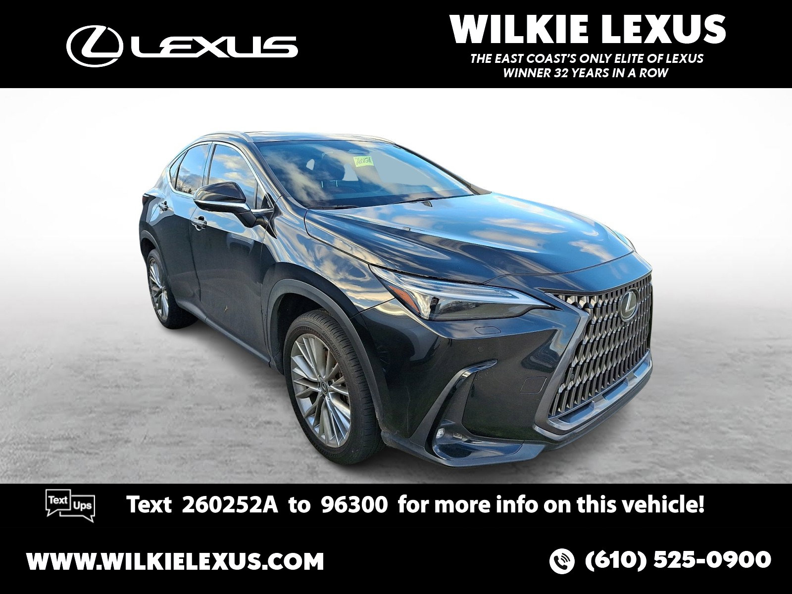 2024 Lexus NX 350's photo