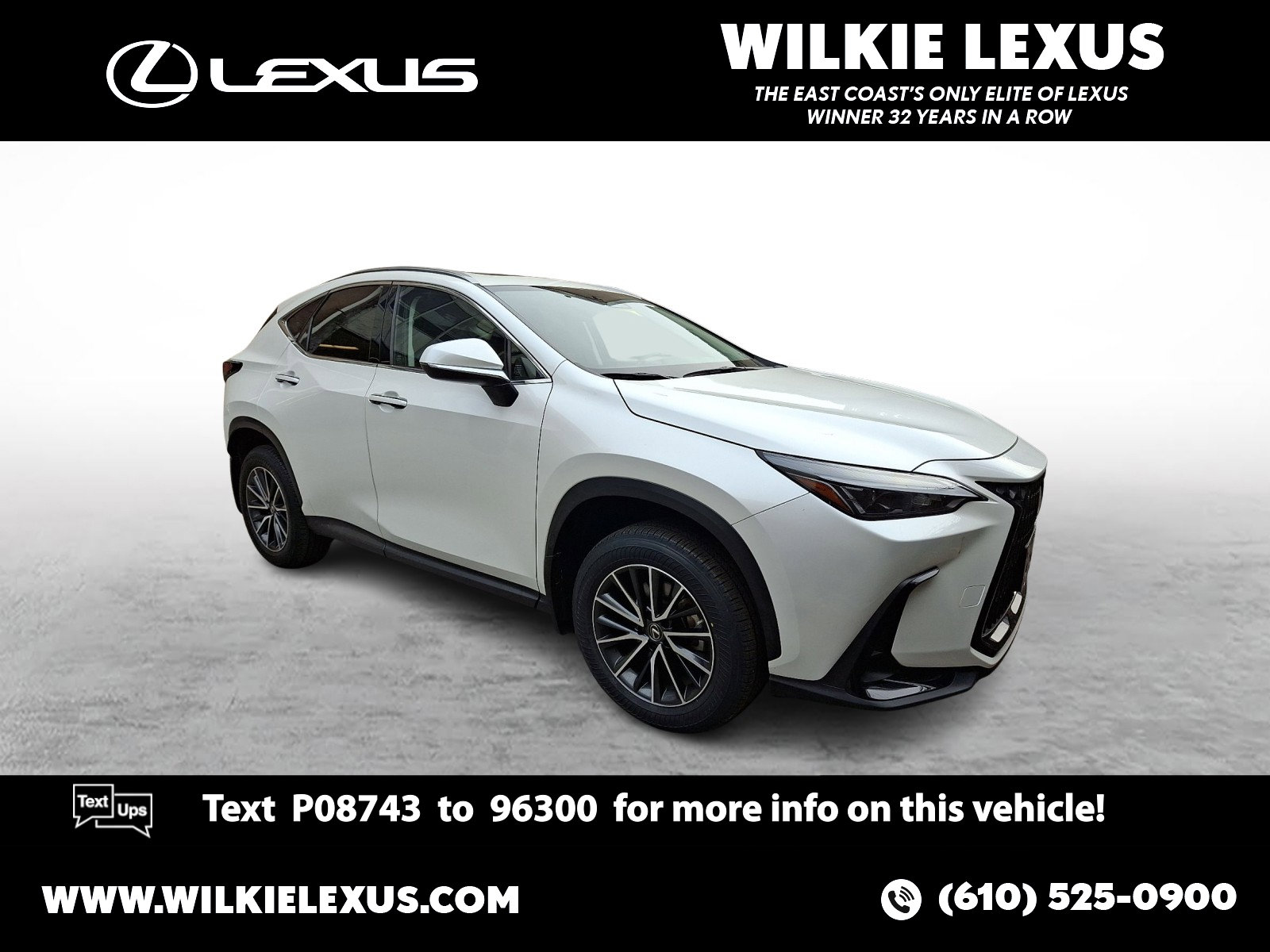 2023 Lexus NX Hybrid 350h's photo