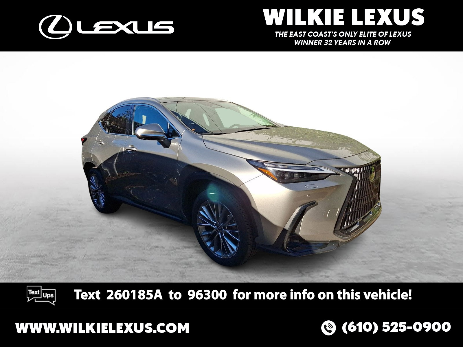 2023 Lexus NX 350's photo