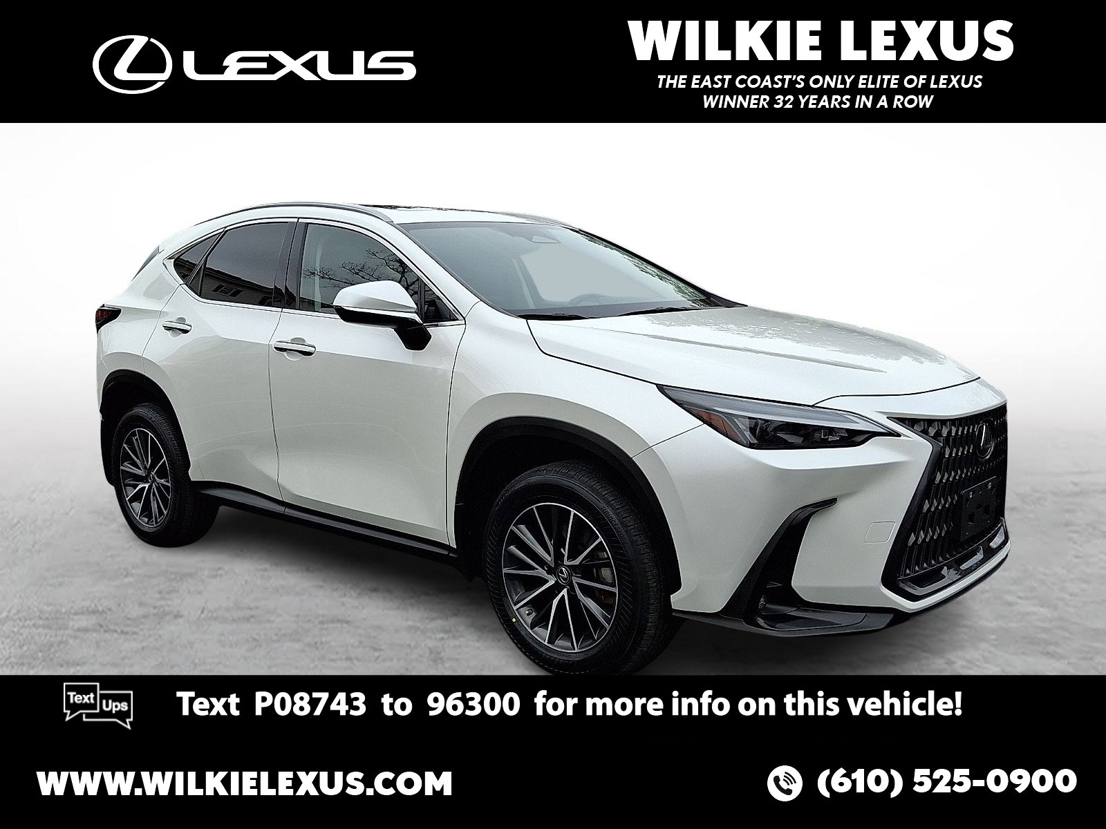 2023 Lexus NX Hybrid 350h's photo