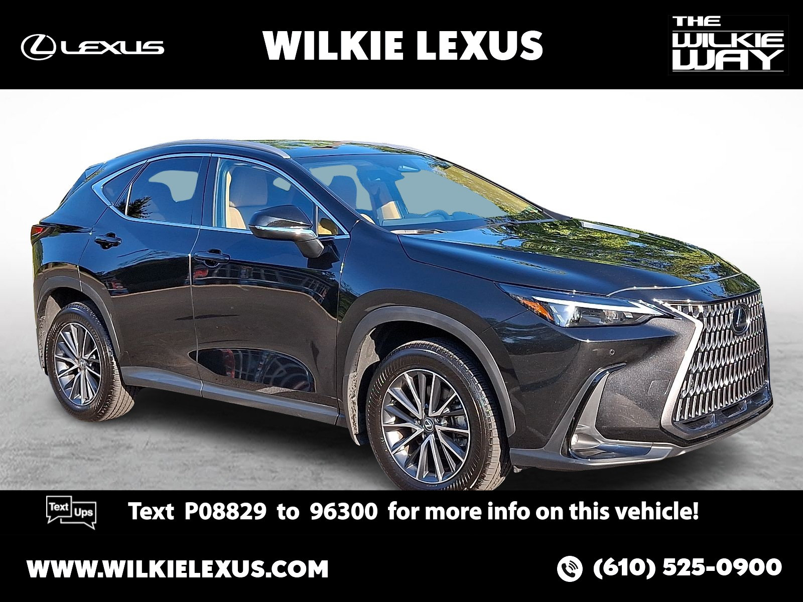 2025 Lexus NX 350