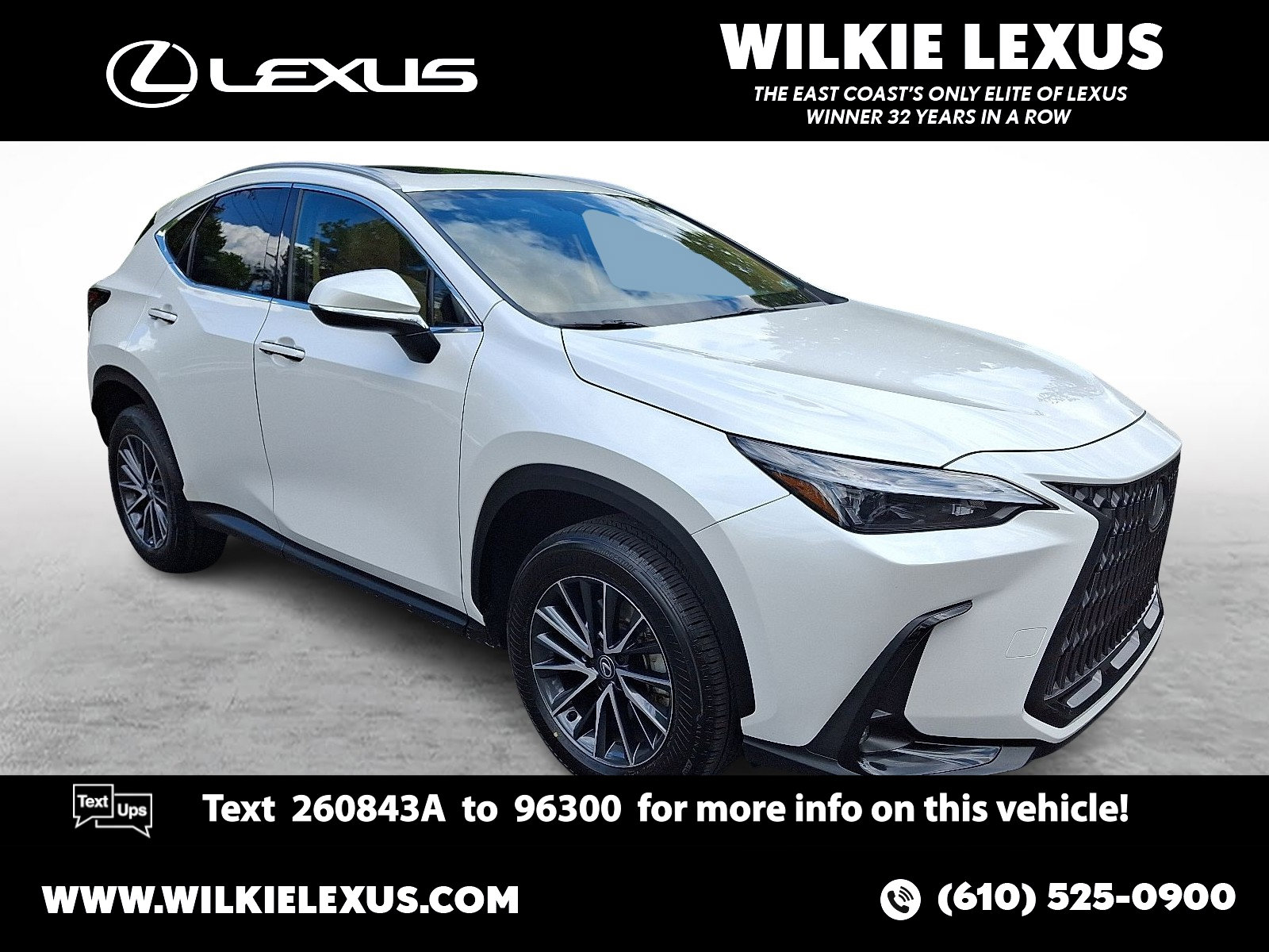 2024 Lexus NX 350 350 AWD's photo