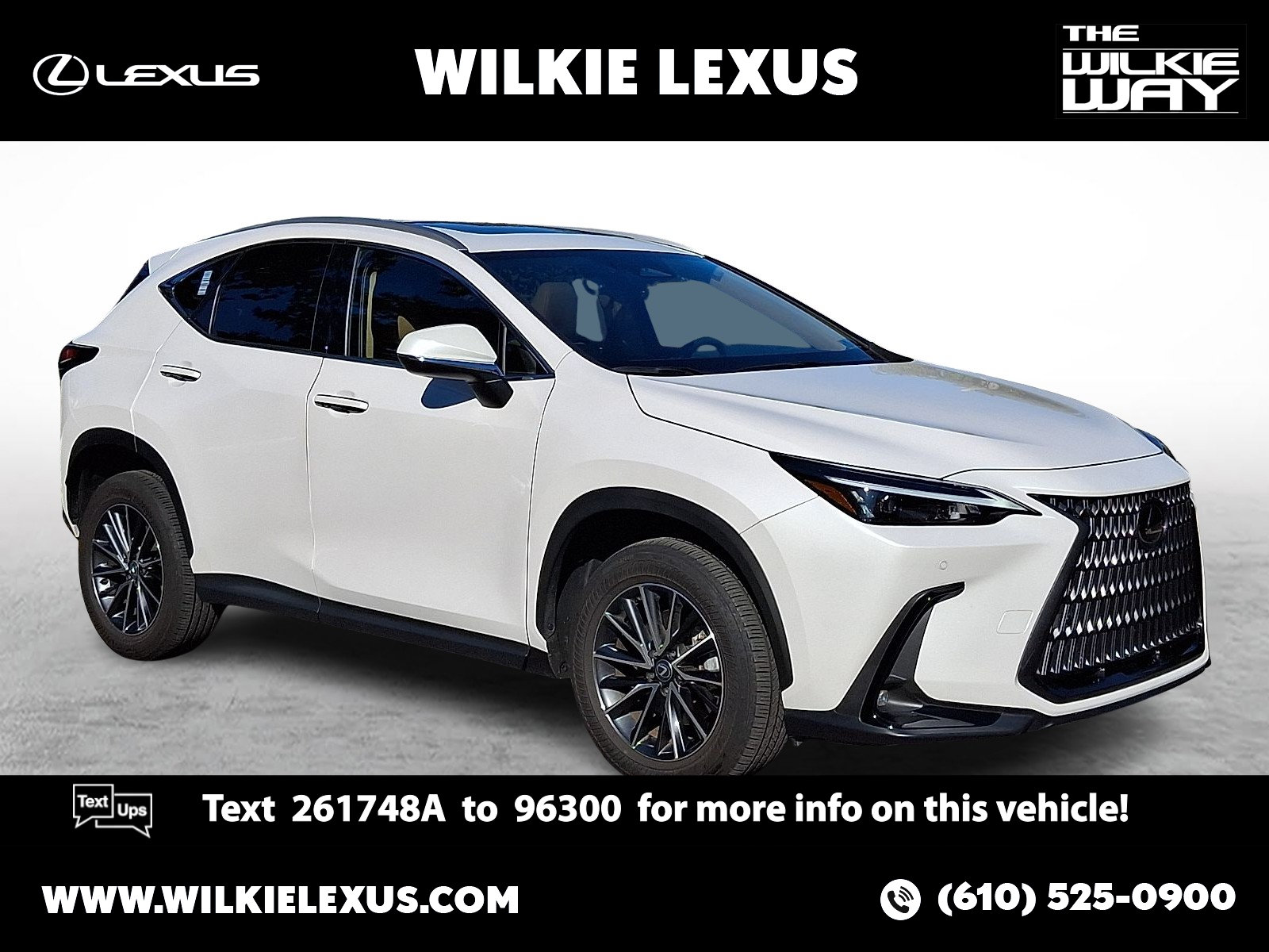2025 Lexus NX