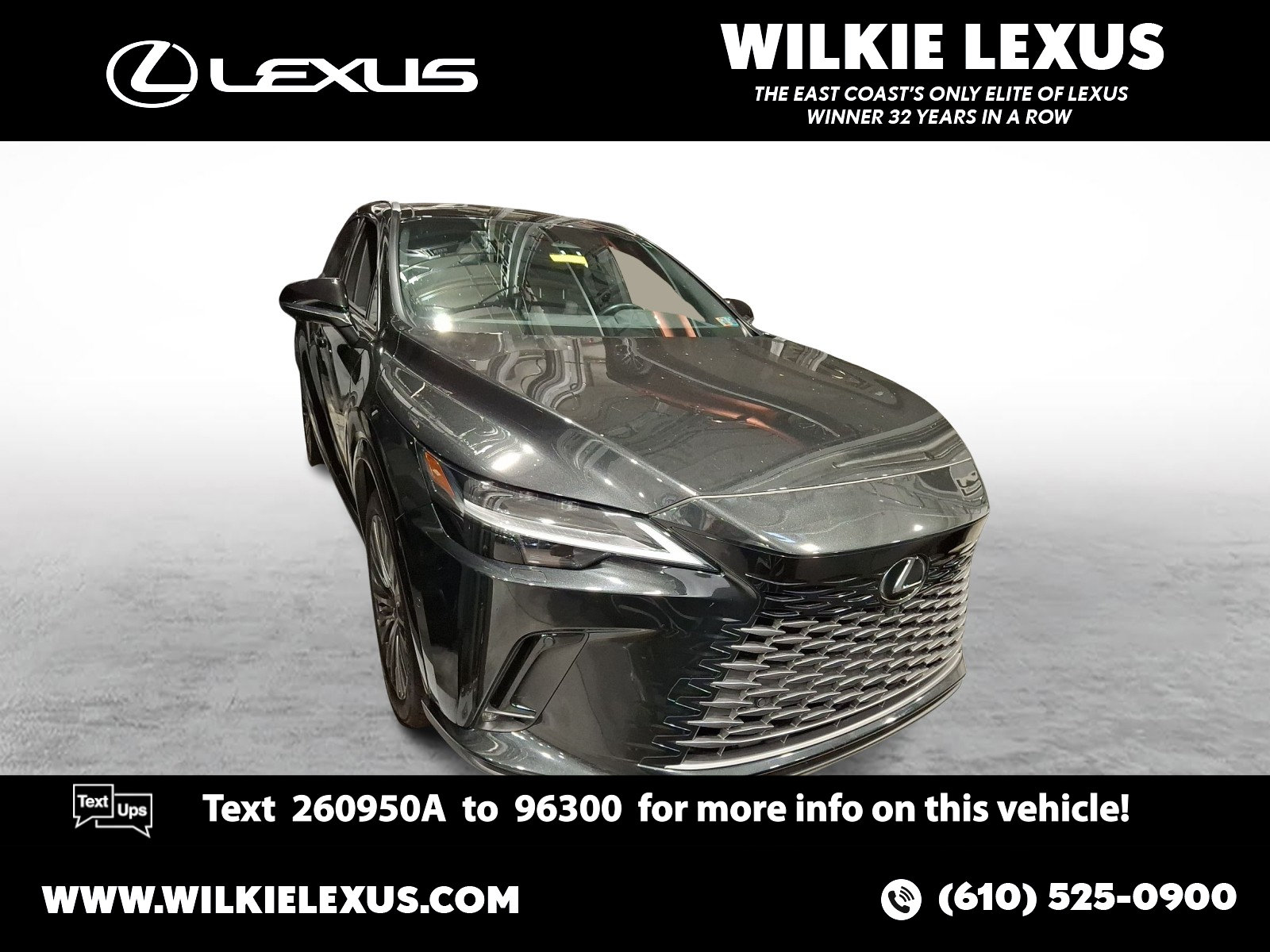 2024 Lexus RX