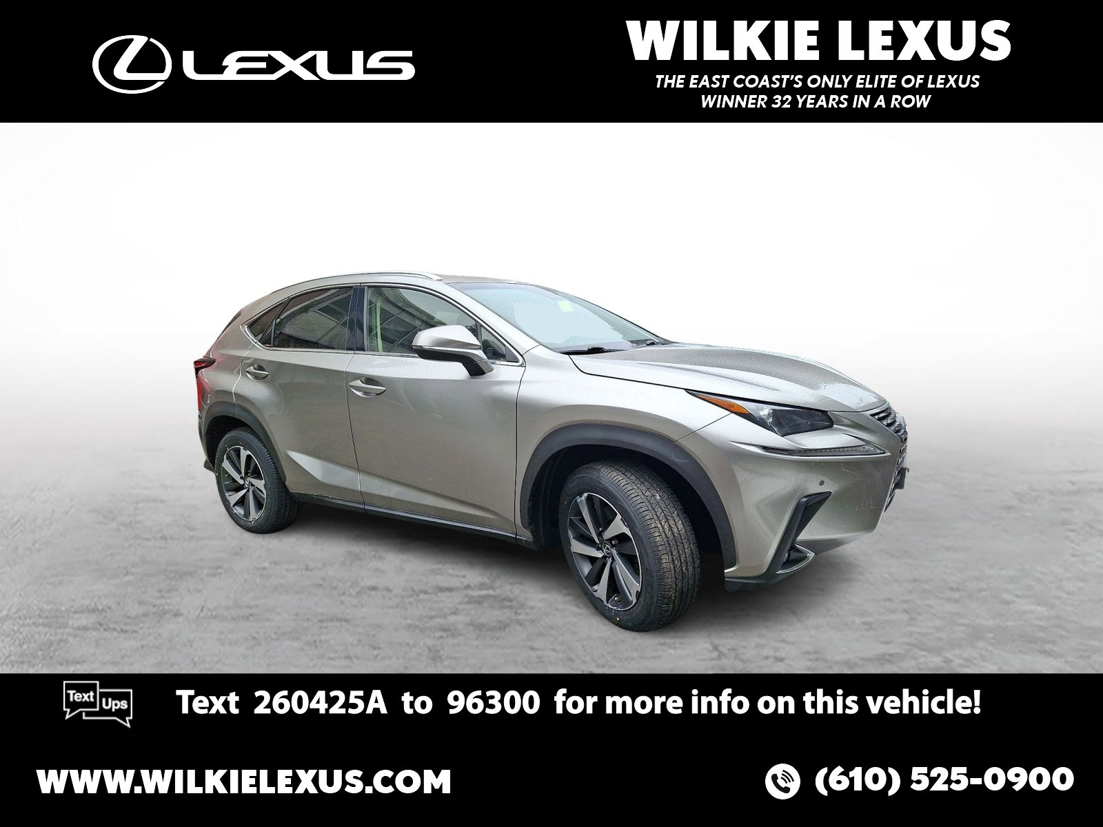 2019 Lexus NX 300 F SPORT