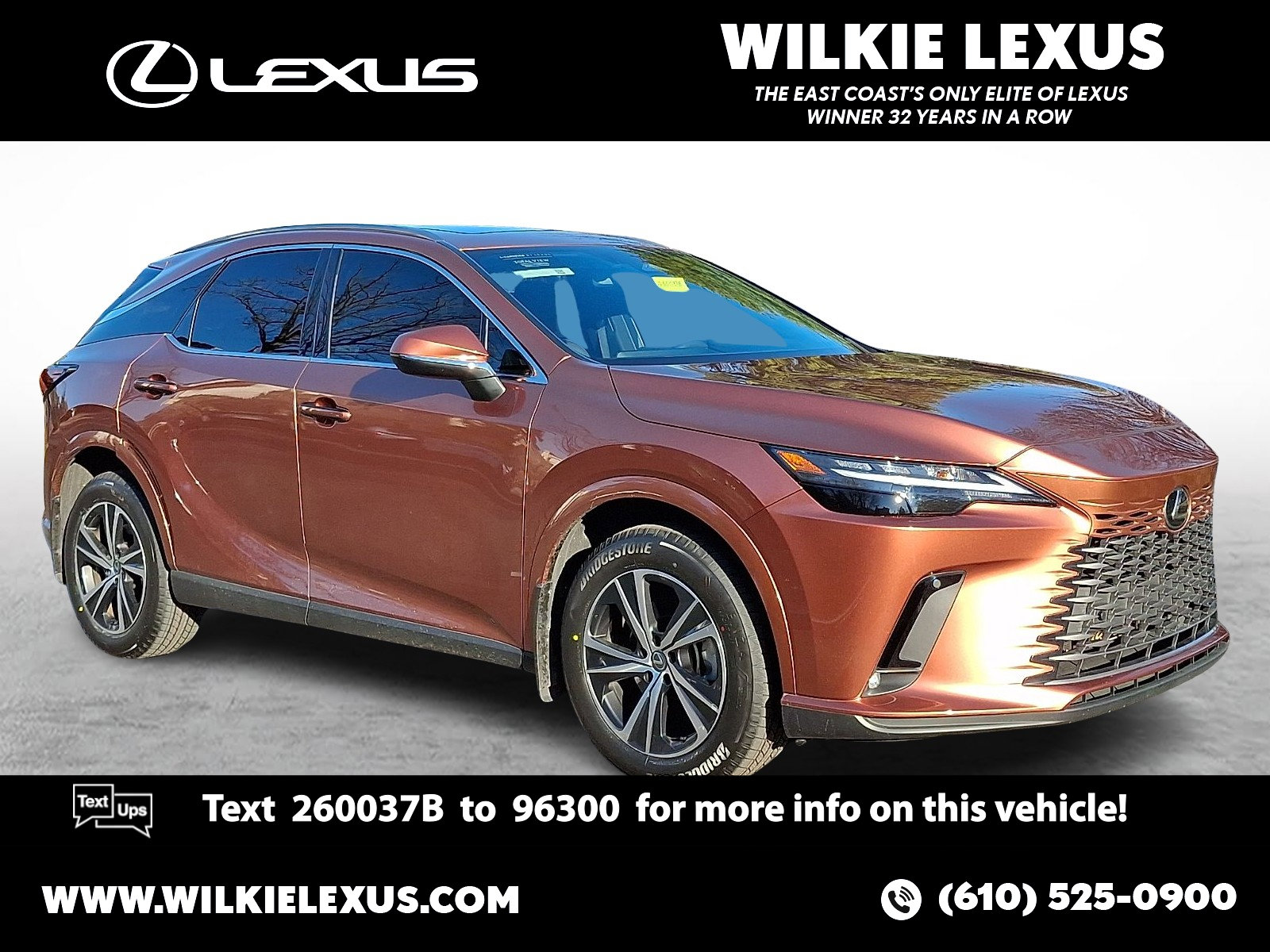 2023 Lexus RX Base's photo