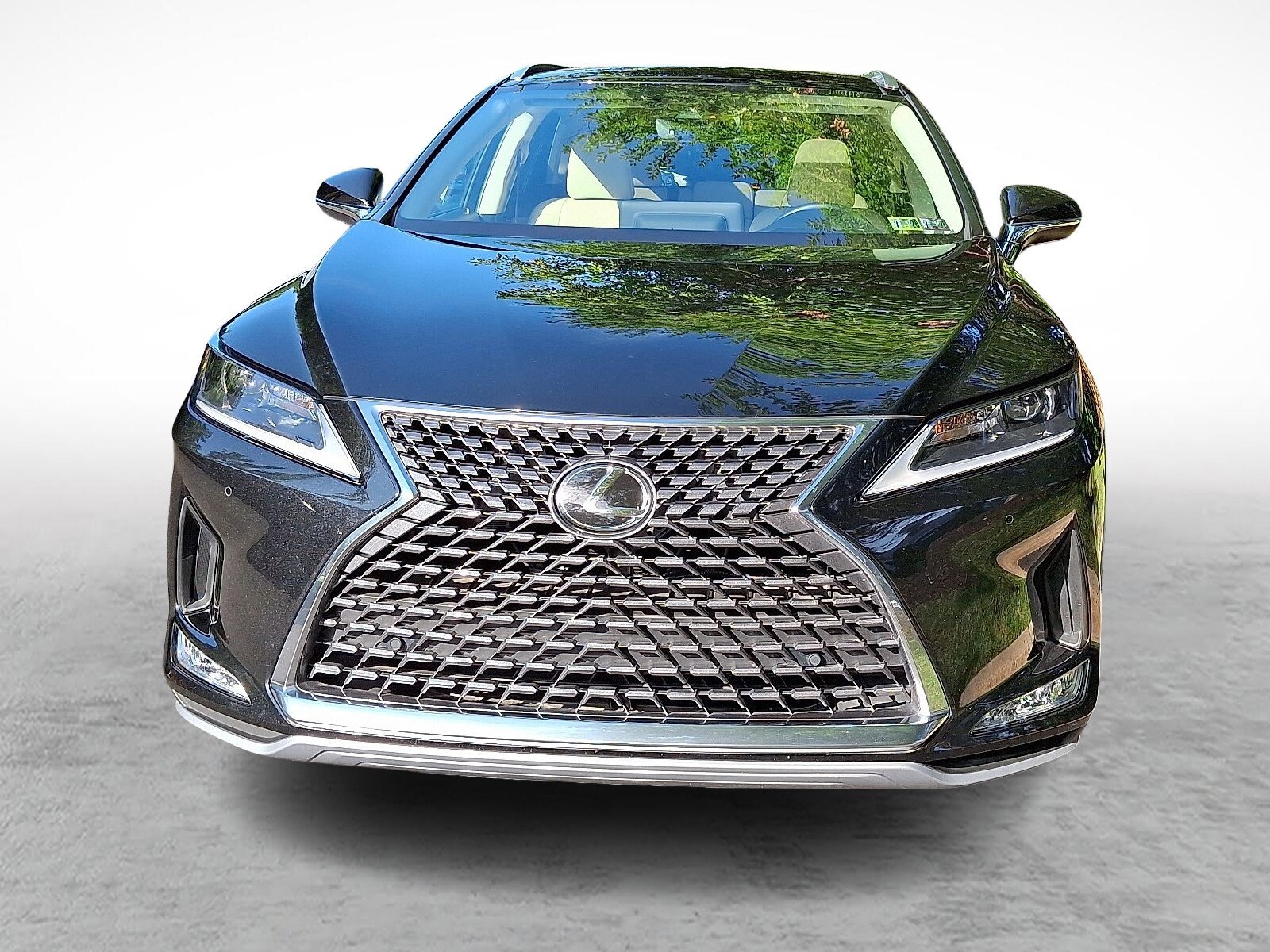 2022 Lexus RX 350 photo 2
