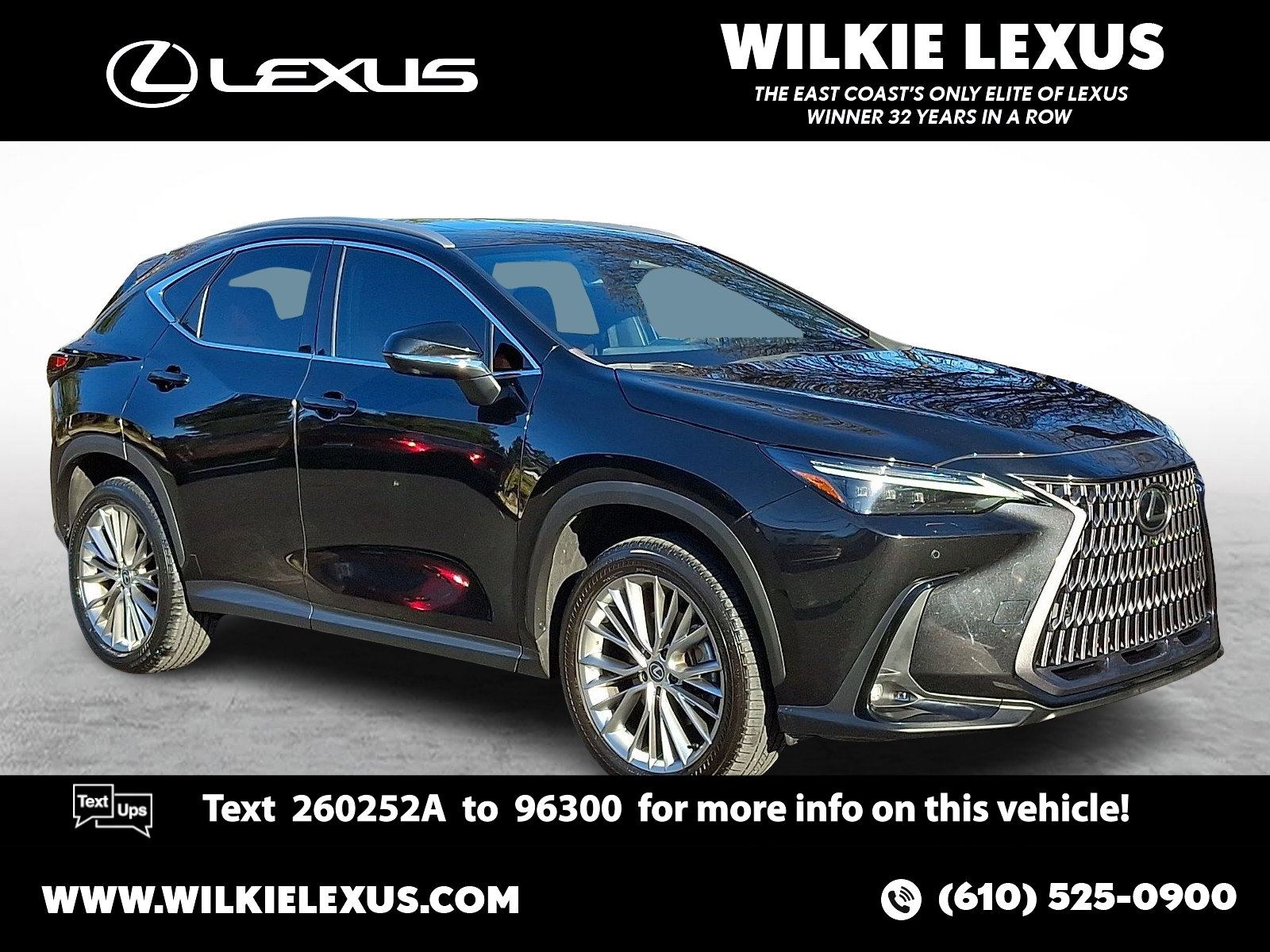 2024 Lexus NX Base's photo