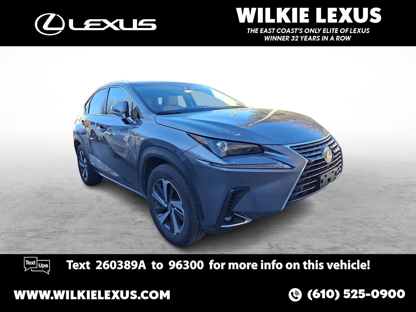 2019 Lexus NX Hybrid 300h