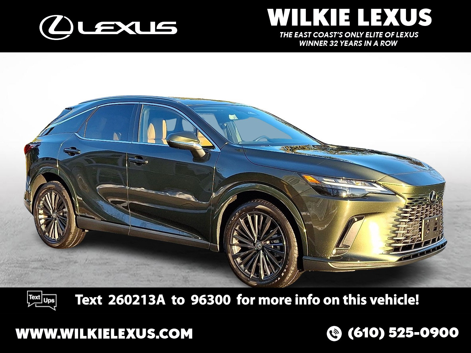 2025 Lexus RX Hybrid 350h's photo