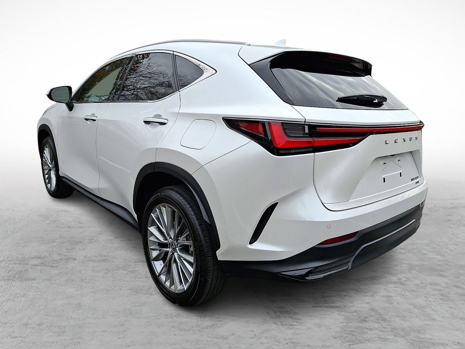 2024 Lexus NX 350 Luxury photo 3
