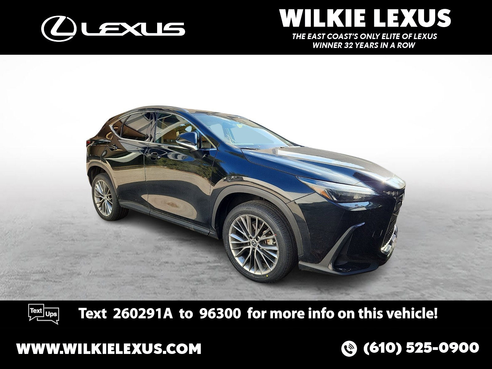 2022 Lexus NX Hybrid 350h's photo