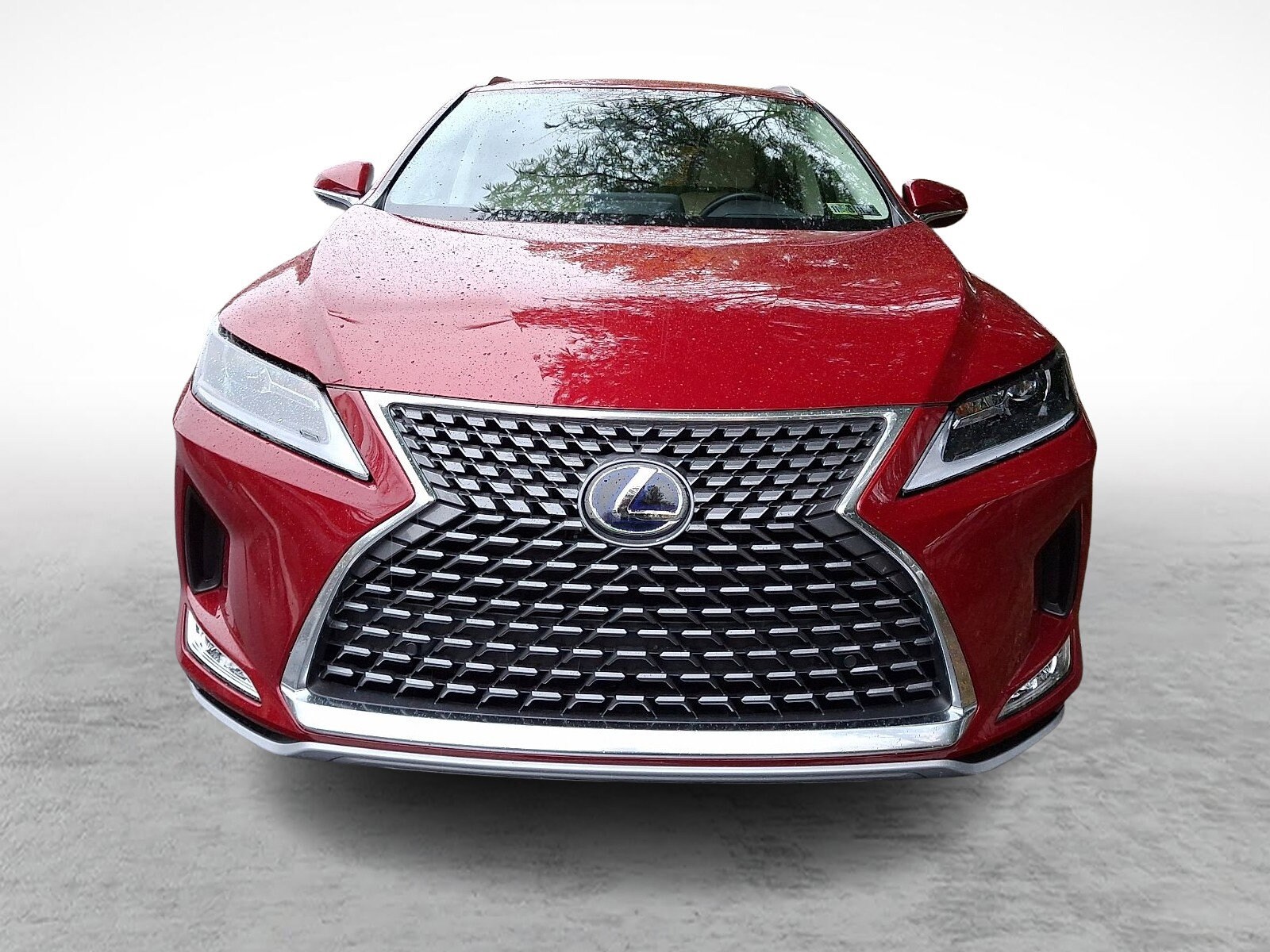 2022 Lexus RX 450h photo 2