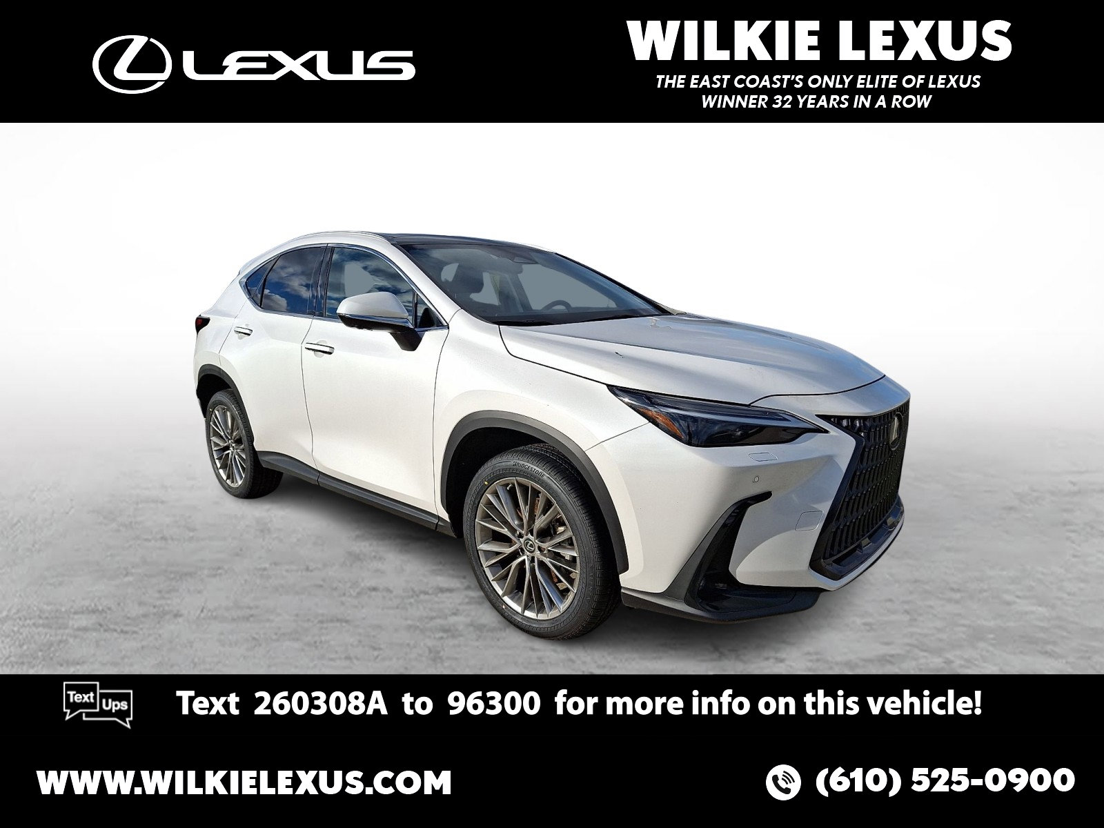 2023 Lexus NX 350's photo