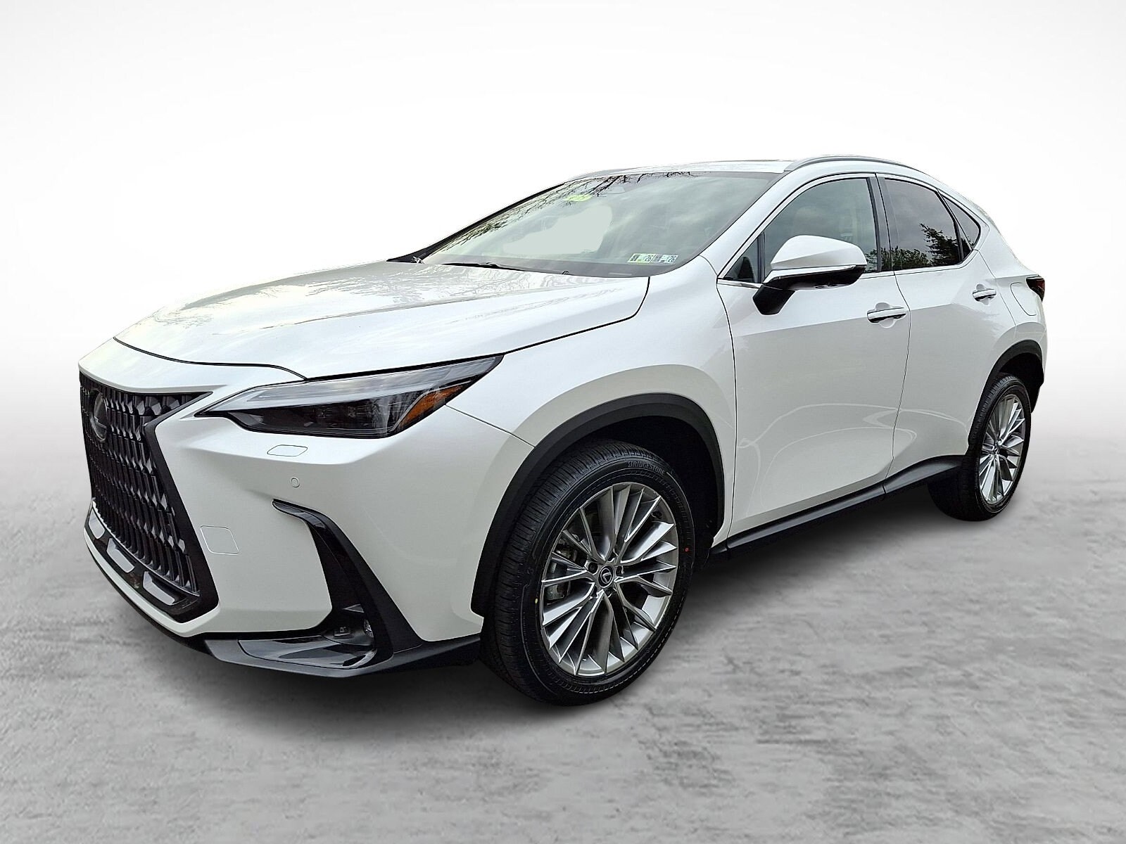 2024 Lexus NX 350 Luxury photo 2