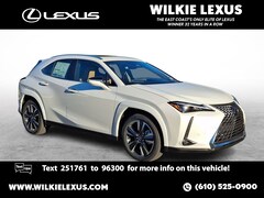 2025 LEXUS UX 300h PREMIUM AWD Sport Utility