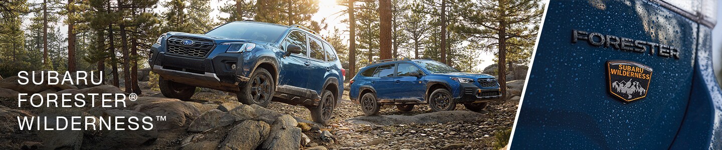2022 Subaru Forester Wilderness Release Date