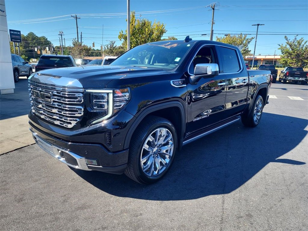 2024 Gmc Sierra 1500 Denali photo 4