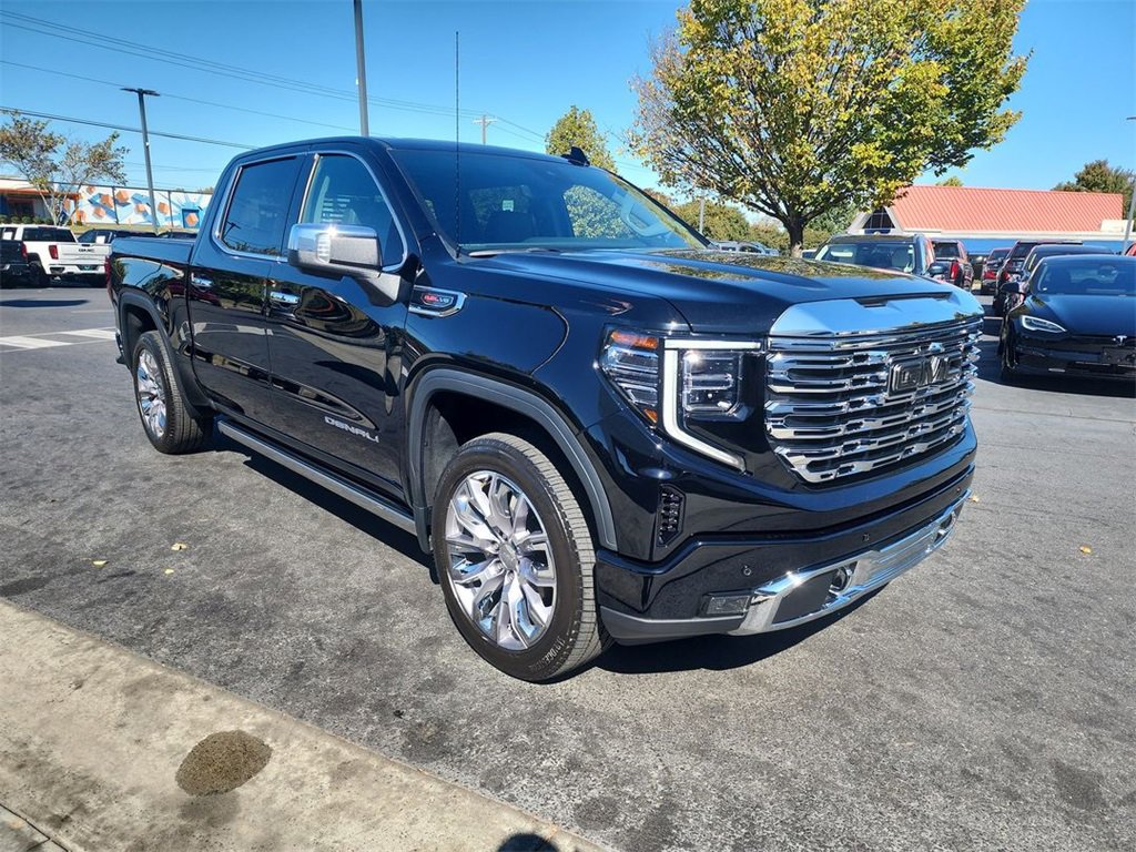 2024 Gmc Sierra 1500 Denali photo 2