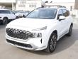 2021 Hyundai Santa Fe Calligraphy SUV